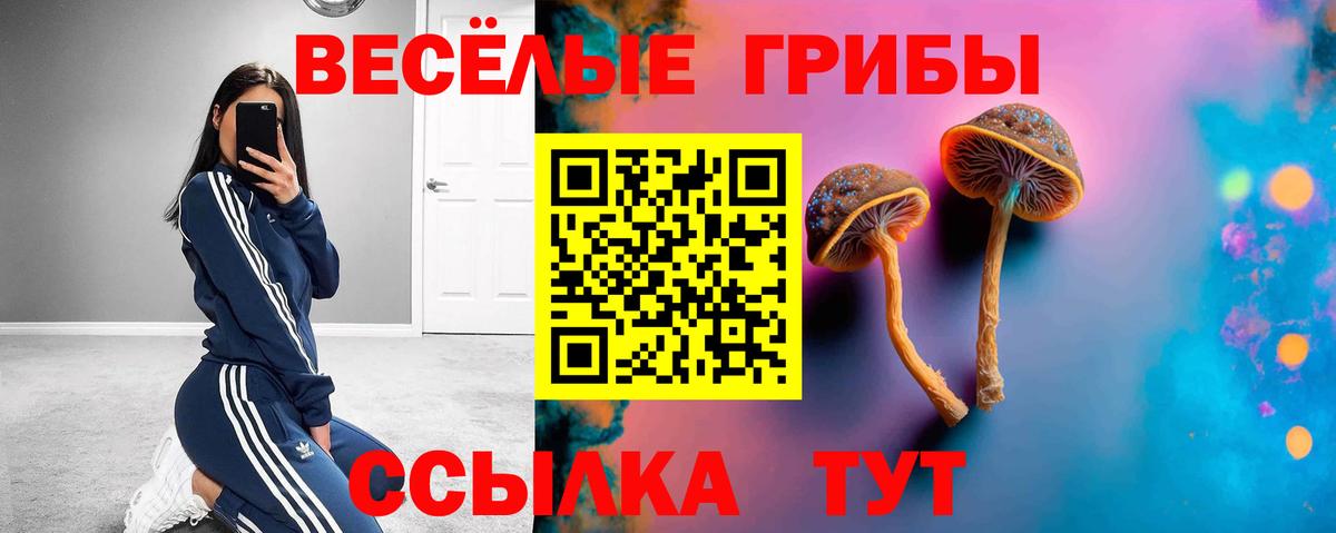 Галлюциногенные грибы прущие грибы Сунжа
