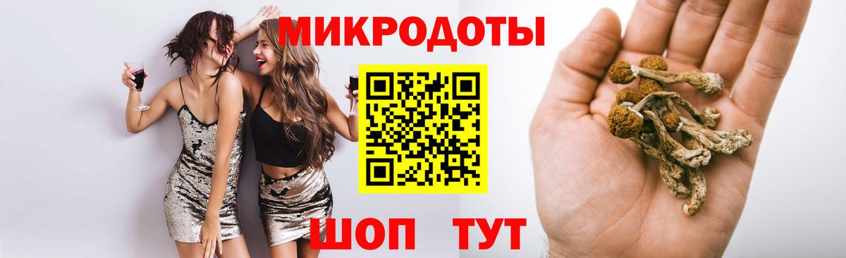Сунжа  Псилоцибиновые грибы GOLDEN TEACHER  Вход с VPN 