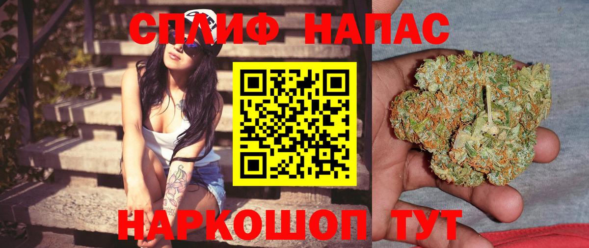 Конопля ГИДРОПОН Сунжа
